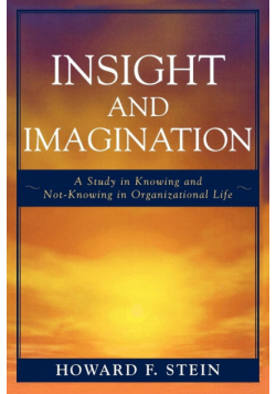 Insight and Imagination