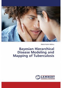 Bayesian Hierarchical Disease Modeling and Mapping of Tuberculosis