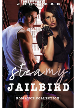 Steamy Jailbird Romance Collection
