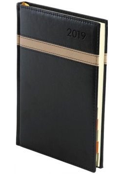 Kalendarz 2019 B5 Dzienny reg. przeszywany Safiano