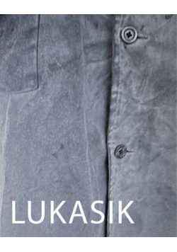 Lukasik. Inwentaryzacja
