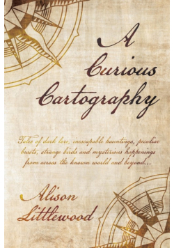 A Curious Cartography