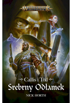 Srebrny odłamek