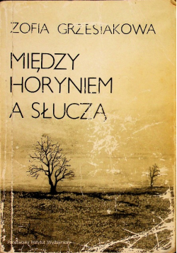 Między Horyniem a Słuczą