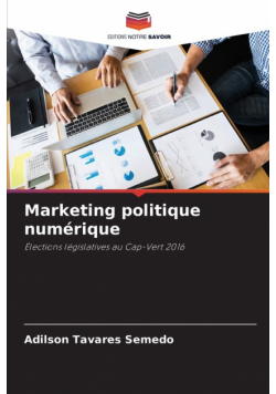 Marketing politique numérique