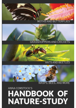 The Handbook Of Nature Study in Color - Insects