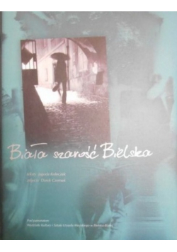 Biała szarość Bielska