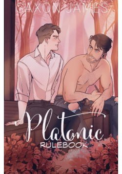 Platonic Rulebook