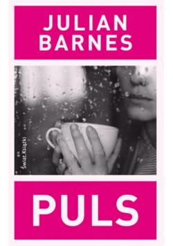 Barnes Julian - Puls