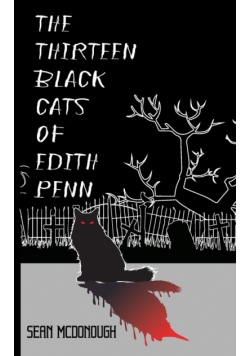 The Thirteen Black Cats of Edith Penn