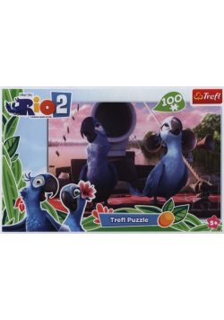 Puzzle Rio 2 100