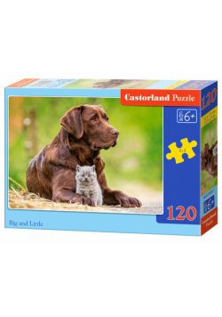 Puzzle Big and Little 120