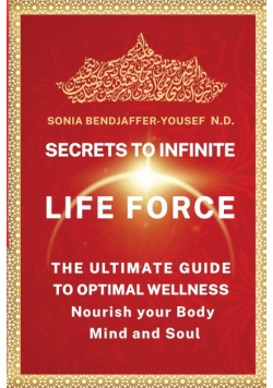Secrets To Infinite Life Force