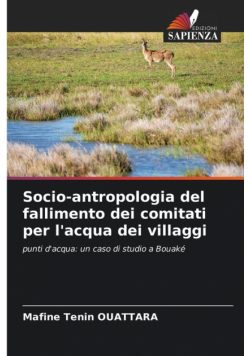 Socio-antropologia del fallimento dei comitati per l'acqua dei villaggi