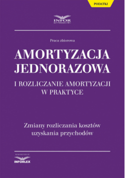 Amortyzacja jednorazowa i rozliczanie amortyzacji w praktyce