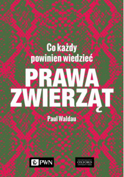 Prawa zwierząt. Co każdy powinien wiedzieć