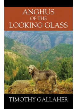 Anghus of the Looking Glass
