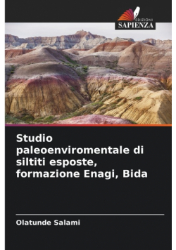 Studio paleoenviromentale di siltiti esposte, formazione Enagi, Bida