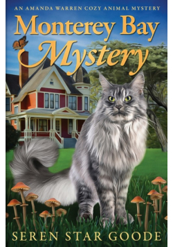 Monterey Bay Mystery