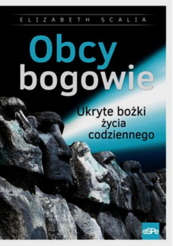 Obcy bogowie Ukryte bożki życia codziennego
