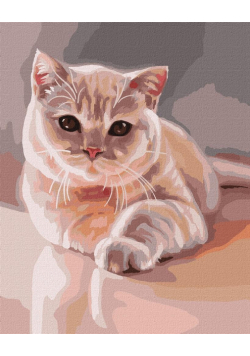 Malowanie po numerach - Ulubiony futrzak 40x50cm