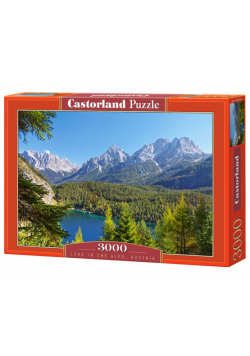 Puzzle Lake in the Alps, Austria 3000