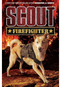 Scout