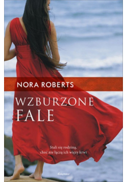 Wzburzone fale