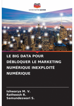 Le Big Data Pour Débloquer Le Marketing Numérique Inexploité Numérique