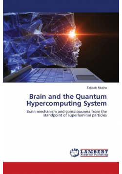 Brain and the Quantum Hypercomputing System