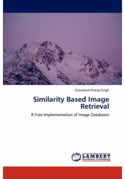 Similarity Based Image Retrieval