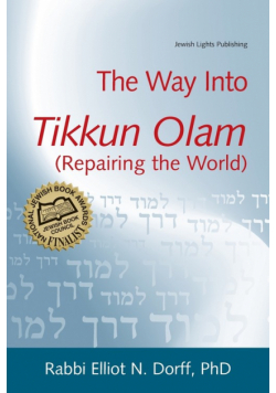 The Way Into Tikkun Olam (Repairing the World)