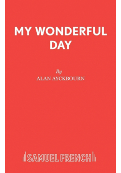 My Wonderful Day