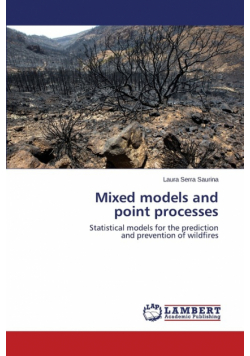 Mixed models and point processes