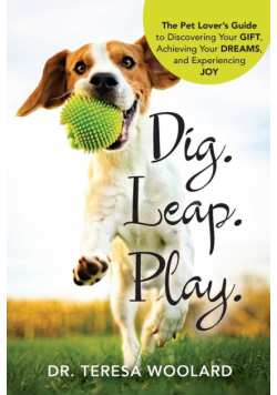 Dig. Leap. Play.
