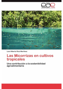 Las Micorrizas en cultivos tropicales
