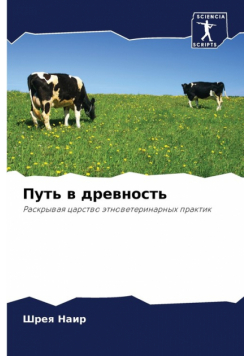 Путь в древность