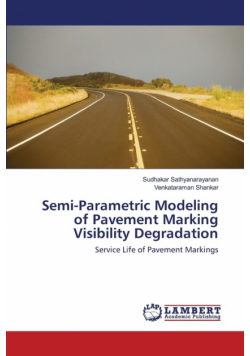 Semi-Parametric Modeling of Pavement Marking Visibility Degradation