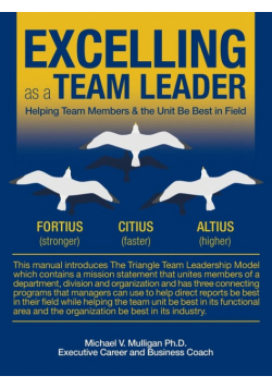 Excelling as a Team Leader