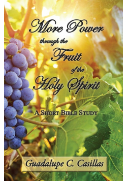More Power through the Fruit of the Holy Spirit