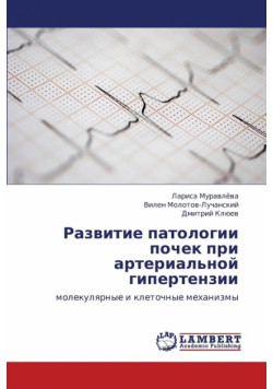 Razvitie patologii pochek pri arterial'noy gipertenzii