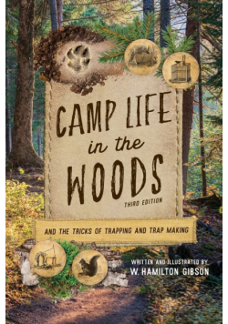 Camp Life in the Woods