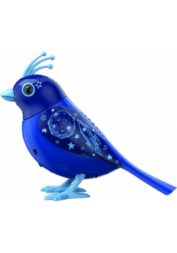 DigiBirds 3 Apollo