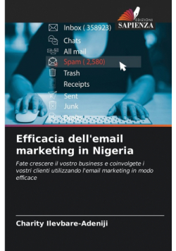 Efficacia dell'email marketing in Nigeria