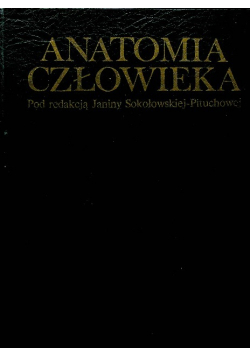 Anatomia człowieka