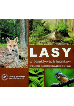 Lasy w obiektywach leśników