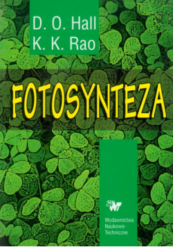 Fotosynteza