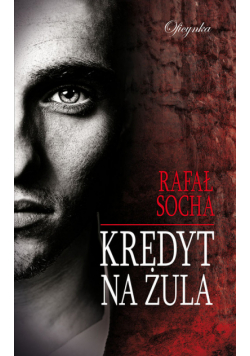 Kredyt na żula
