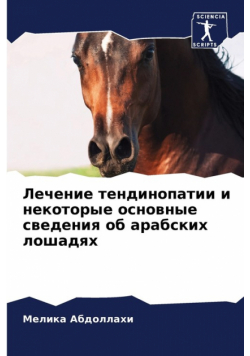 Лечение тендинопатии и некоторые основные сведения об арабских лошадях