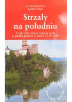 Strzały na południu